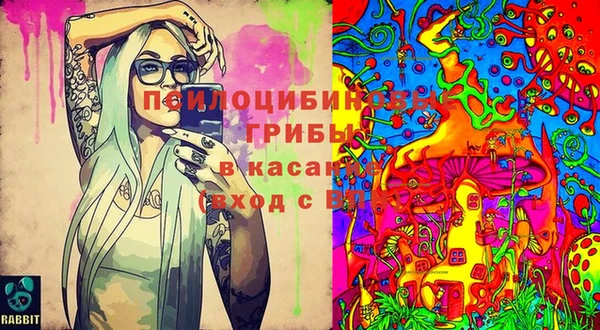 амфетамин Гусев